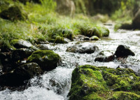 Z historie: Vodní hospodářství ve XX. věku